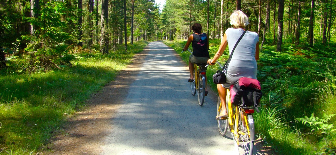 Entdecken Sie Schweden mit dem Fahrrad